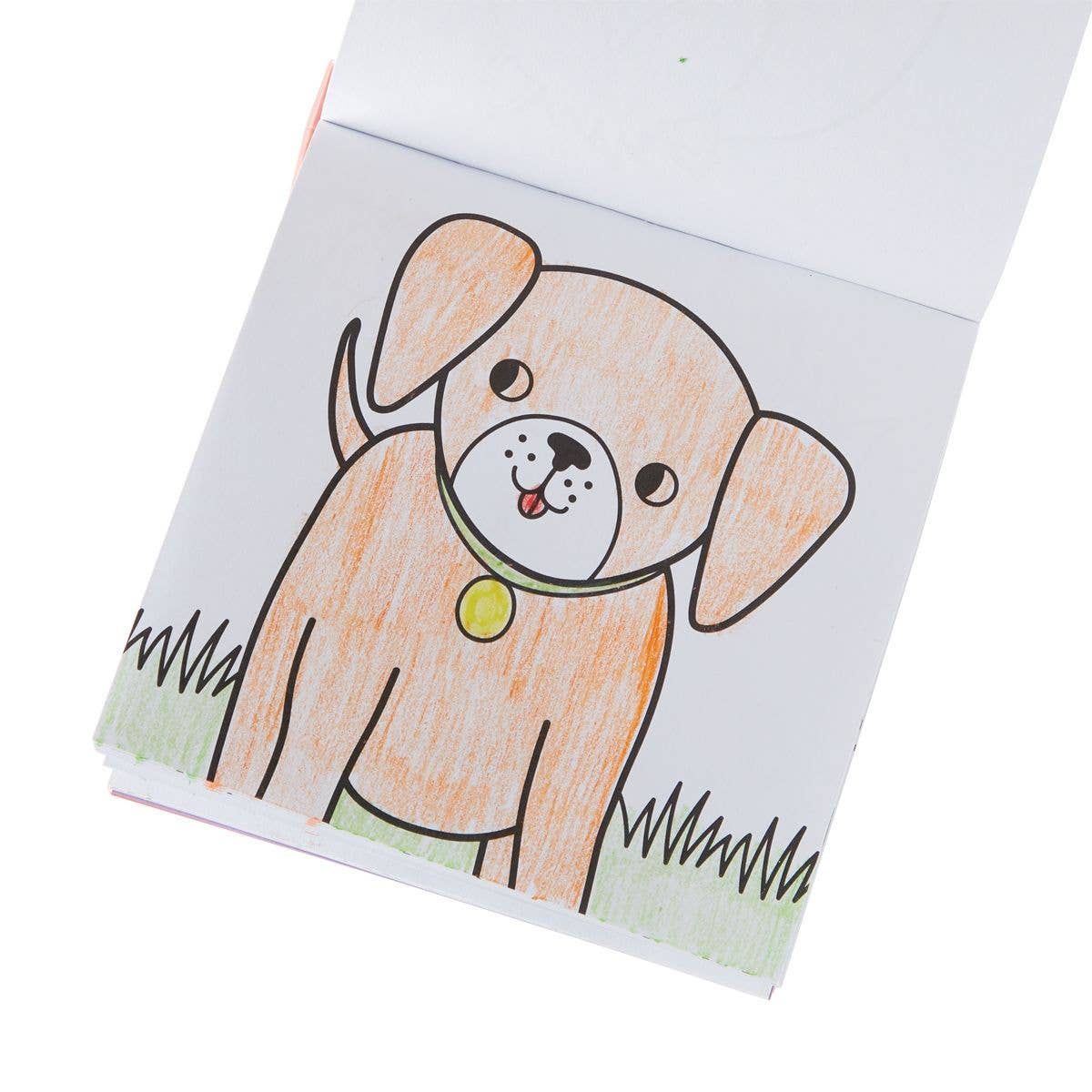 Carry Along Crayon & Coloring Book Kit